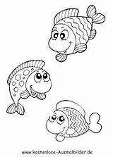 Fische Ausmalbilder Fisch Malvorlagen Ausmalen Tiere Malvorlage Kostenlose Kinder Zeichnen Drucken Zeichentrickfiguren Wassermann Educar Espaco Zitate Hunderte Zeigen Windowcolor Ausmalbildervorlagen sketch template