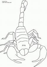 Scorpion Coloring Pages Printable Color Scorpions Invertebrate Kids Front Popular Print sketch template