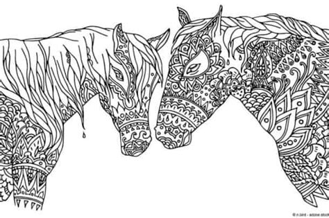 horse coloring pages    horse coloring pages