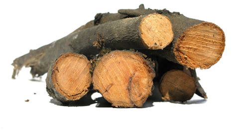 logs  stock  rgbstock  stock images lusi