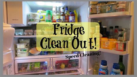 cleaning   fridge youtube