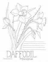 Daffodil Daffodils Coloringhome sketch template