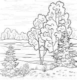 forest coloring pages coloring pages  kids  adults