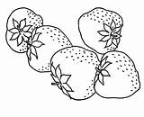 Fresas Erdbeere Morangos Ausmalbilder Morango Malvorlagen Colouring Categorias Colorironline Dibujosonline Coloringhome Frutas Fresa sketch template