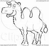 Camel Outline Coloring Clipart Illustration Royalty Visekart Rf Background sketch template