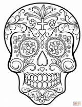 Coloring Skull Sugar Printable Adults Pages Popular sketch template