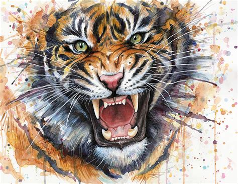 tiger watercolor portrait painting  olga shvartsur fine art america