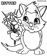 Kitten Coloring Pages Flowers Colorings sketch template