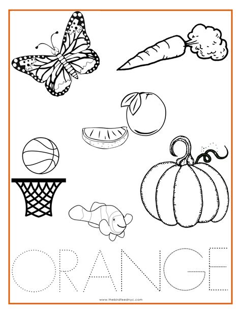 printable color orange coloring pages