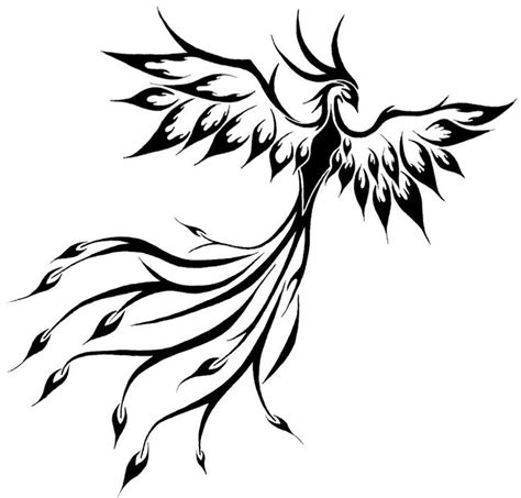 phoenix bird drawing  getdrawings