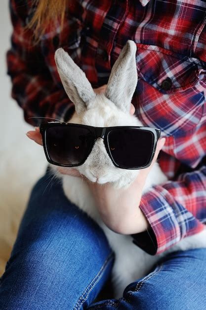 premium photo rabbit  sunglasses