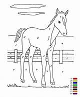 Facile Coloriage Boerderij Cheval Kleurplaat Dessin Ausmalbilder Zahl Colt Warna Nombor Ikut Ecoloringpage Mewarna Malvorlage Kuda Stemmen Animaatjes Kleurplaten Zo sketch template