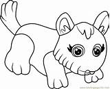 Terrier Westie Parade Coloringpages101 Beagle Puppy sketch template