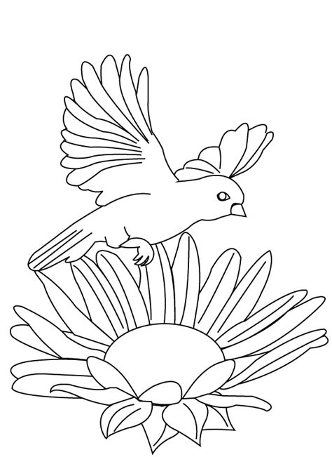 coloring pages parrot flying