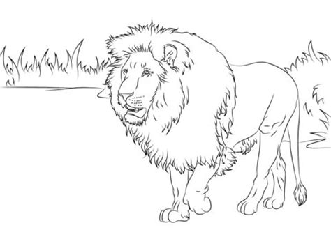 gorgeous lion coloring page  lions category select