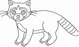 Raccoon Clip Colorable Clipart Outline Coloring Line Template Pages Clipartix Sweetclipart Library Insertion Codes sketch template