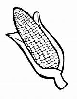 Corn Coloring Cob Drawing Pages Indian Field Stalks Getdrawings Autumn Fall Popular sketch template