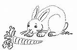 Dot Drawing Rabbit Drawings Samanthasbell sketch template