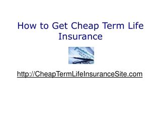 cheapterm insurance   channel