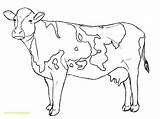 Cow Coloring Pages Getdrawings Kids Printable sketch template