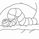 Coloring Caterpillar Pages Surfnetkids sketch template
