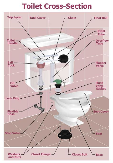 flushing toilet  reviews plumber recommended toilets flush