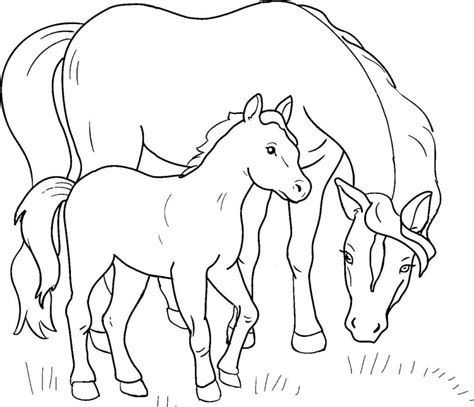 printable coloring baby horse foal   mom pages