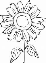 Sunflower Coloring Clip Pretty Pages Line Sweetclipart sketch template