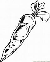 Carrot Drawing Coloring Printable Vegetables Carrots Pages Choose Board sketch template