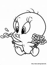 Tweety Coloring Pages Bird Getcolorings Color sketch template