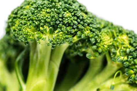 fresh broccoli vegetable royalty  photo
