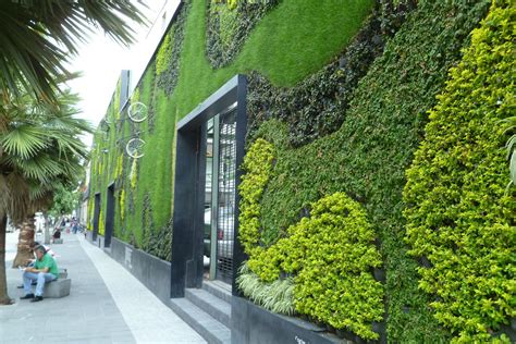 green wall  samo  deviantart