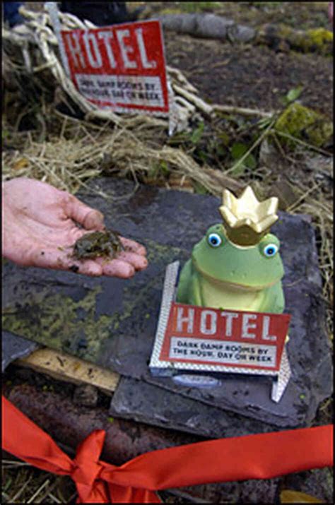Hotel Promotes Safe Sex For Frogs Npr