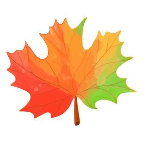 watercolor autumn leaves hand painted decoration clipart  png