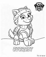 Patrol Paw Everest Skye Colorear Rubble Colouring Patrouille Getcolorings Pat Getdrawings Zuma Canina Crayola Rocky Livres Pe sketch template