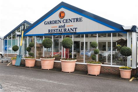 canterbury garden centre grovewell garden centres