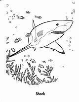Coloring Pages Sharknado Getdrawings sketch template