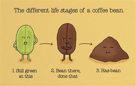 Fun Food Facts Presented With Adorable Cartoons And Puns