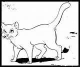 Coloring Warrior Cats Pages Coloringhome Popular sketch template