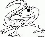 Lizard Gecko Iguana Coiled Ausmalbild Clipartmag sketch template
