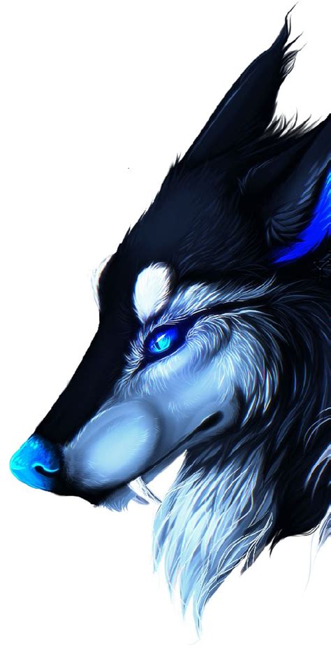 evil wolf hyper realistic pencil color sketching   excite