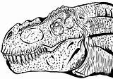 Coloring Rex Pages Head Tyrannosaurus Dinosaur Trex Rocks sketch template