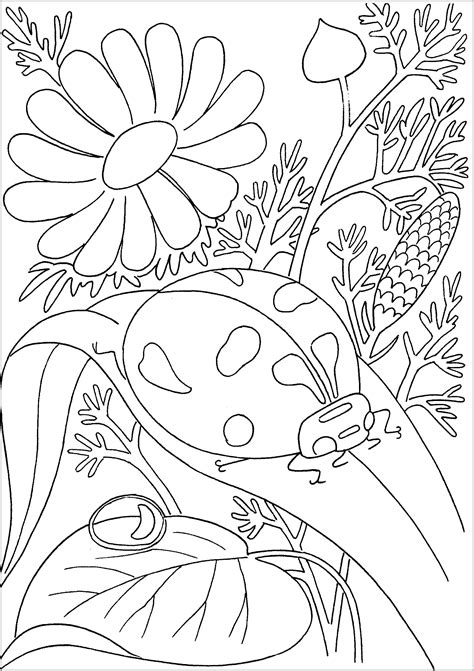 ladybugs  flowers insects kids coloring pages