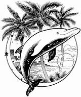 Coloring Pages Dolphin sketch template