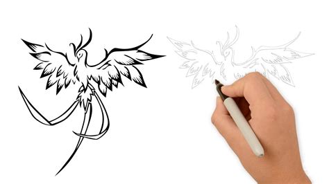 draw  phoenix bird step  step youtube