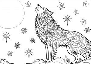 wolves coloring pages  adults