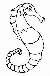 Hippocampe Coloriages Seahorse Outlines sketch template