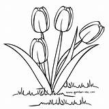Bunga Mewarnai Mewarna Tulip Lukisan Sketsa Pemandangan Rumput Senarai Ashgive Himpunan Pekeliling Lihat Alam Menggambar Dari Baik Perolehi Huruf Keluarga sketch template