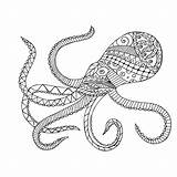 Squid Ausmalbilder Oktopus Ausmalen Malvorlagen Giant Getdrawings Jahren Auswählen sketch template