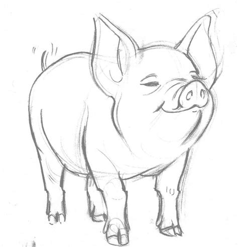 ideas  pig drawing  pinterest pig art vector clipart